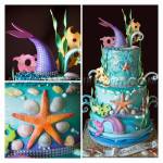 1526917_902100219808048_2538808716214396330_n