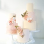 get-attachment.aspx-183